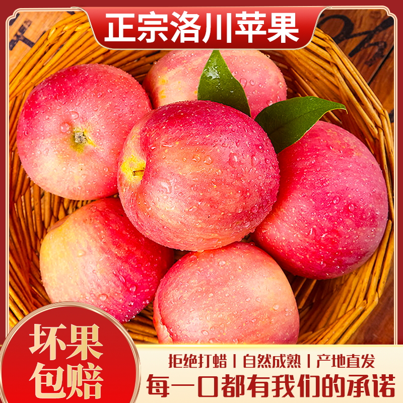 正宗洛川苹果-自然成熟 拒绝打蜡 产地直销-坏果包赔 精选大果 260克+5斤一箱