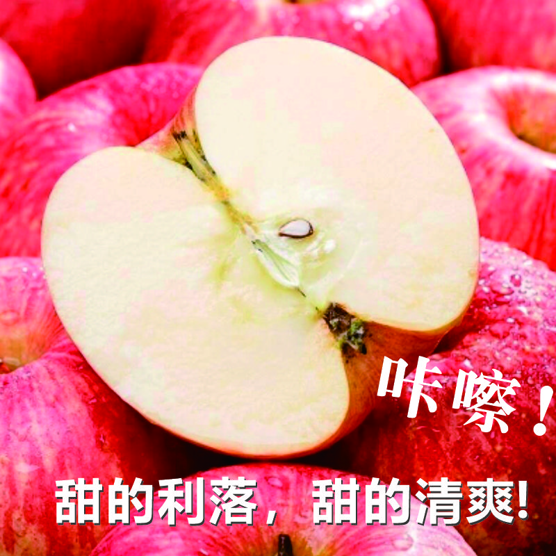 正宗洛川苹果-自然成熟 拒绝打蜡 产地直销-坏果包赔 精选大果 260克+5斤一箱