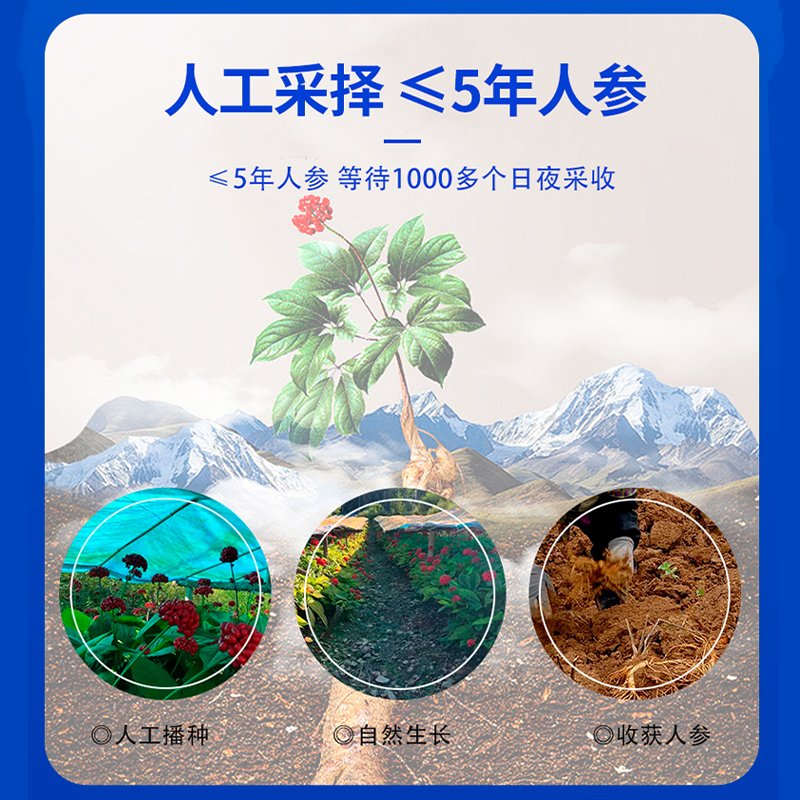 脑白金营养液丨年轻态 健康品 科学配比 呵护免疫 黄金搭档丨人参 海参可选 250mg×4瓶 礼盒装
