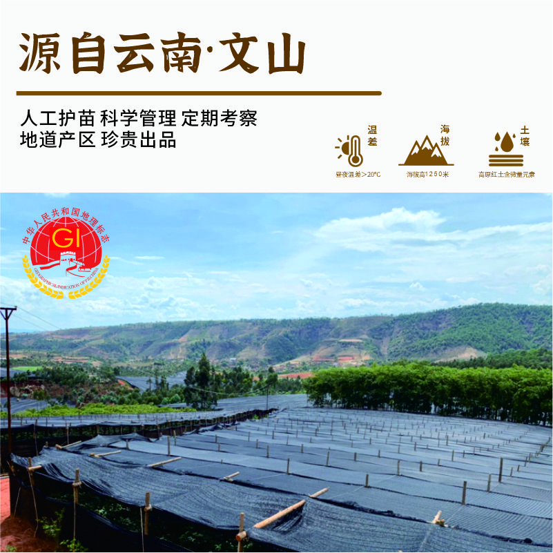 有机三七粉丨高强破壁 粉质细腻 8％皂苷 药企出品 营养有效丨有机认证 多项质检 42克/14袋/盒装