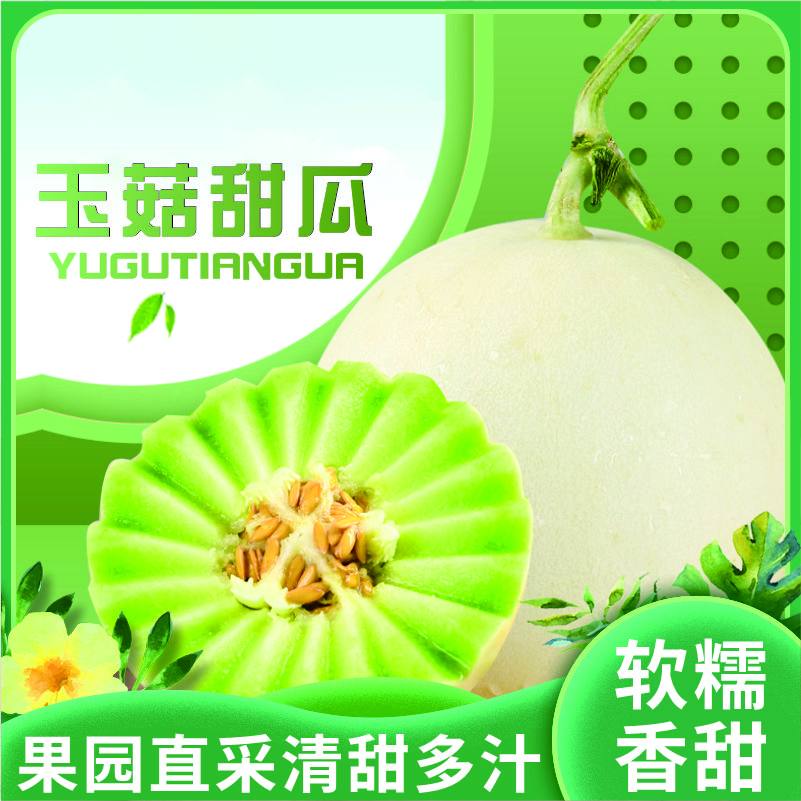 正宗山东 玉茹甜瓜丨皮薄肉多 绵柔清甜 一藤一瓜 头茬现摘 瓜中贵族丨5斤装/两大果 单果1100g+