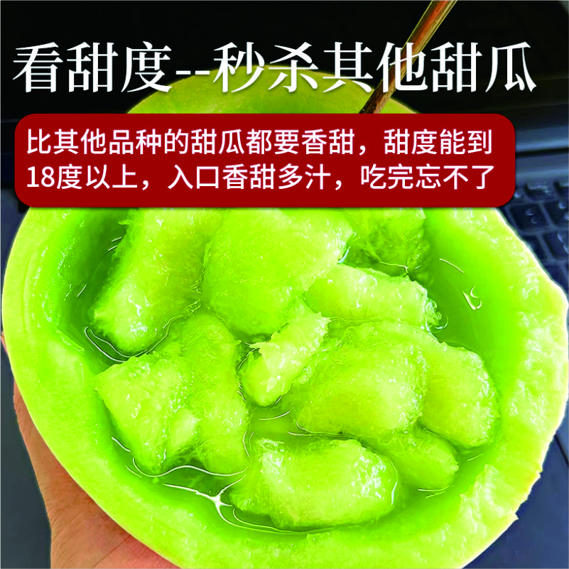 正宗山东 玉茹甜瓜丨皮薄肉多 绵柔清甜 一藤一瓜 头茬现摘 瓜中贵族丨5斤装/两大果 单果1100g+