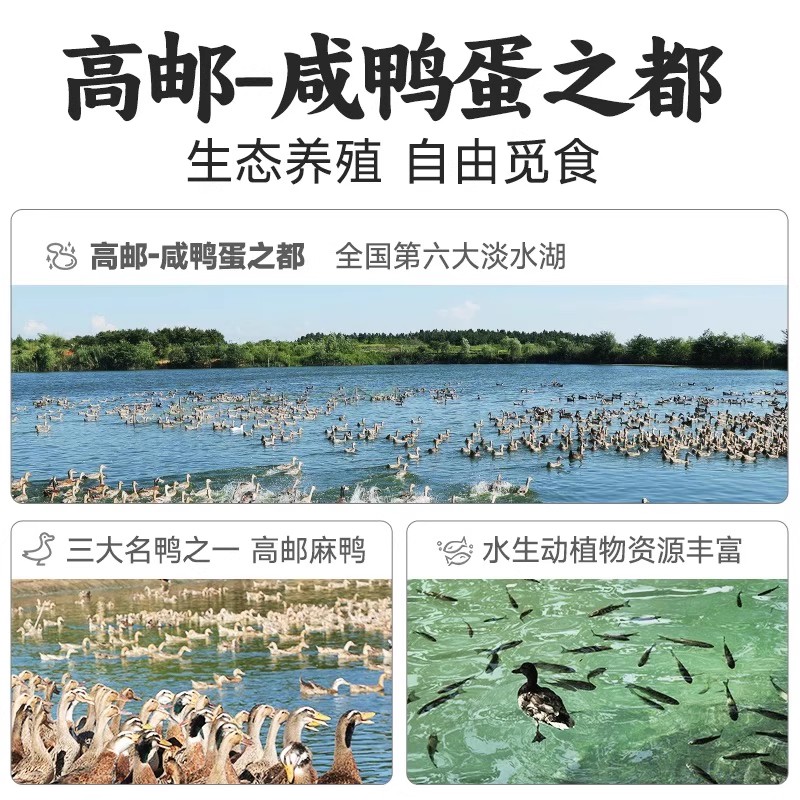 正宗高邮咸鸭蛋|非遗传承 生态养殖 低钠低盐 健康富硒|零激素添加 国家地标认证 20枚/箱