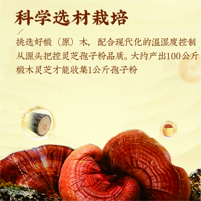 头道破壁灵芝孢子粉|灵芝精华 蓝帽认证 细腻速溶 挂壁孢油 更易吸收 强身健体|全新升级 高效典藏款