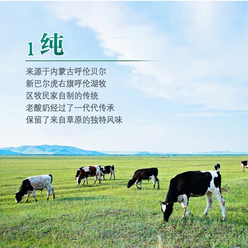 伊利草原酸奶|奶香浓郁 点滴醇香 营养补钙10防腐 0香精 0添加 200克x10盒/箱