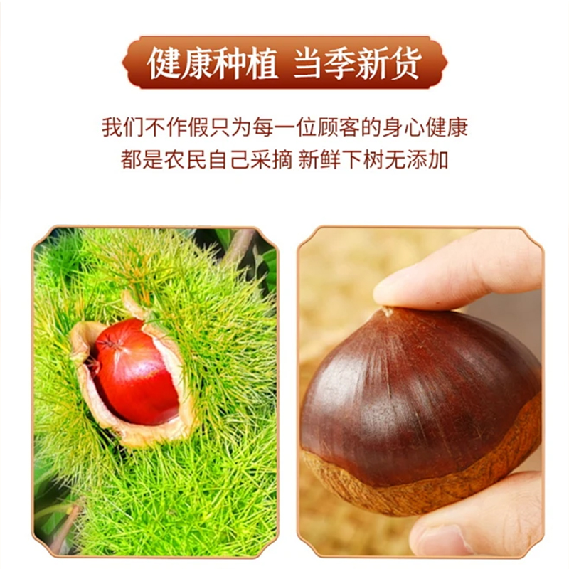 迁西有机板栗仁有机认证 国家地标 颗颗饱满 软糯香甜 零添加剂|营养鲜坚果仁 5大袋装