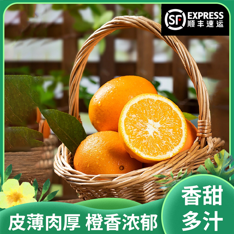 正宗赣南 脐橙|当季鲜橙 赣州直发清晨现摘 橙香汁多新品尊品大果|顺丰80-90mm彩箱5-10斤
