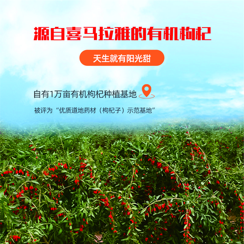 呀啦嗦有机枸杞原浆|鲜果纯浆天然纯味 无菌灌装 健新品康营养|643项农残检测300ml十袋装