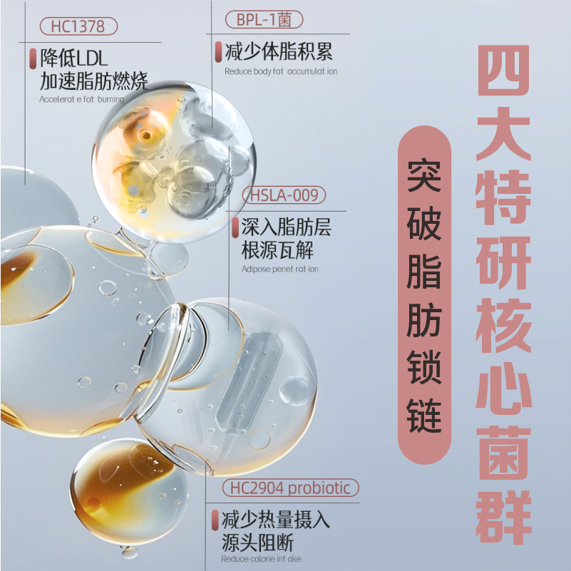 黄金搭档益生菌冻干粉提高代谢阻断糖油科学配比肠道呵护|30000亿瘦子菌30条装