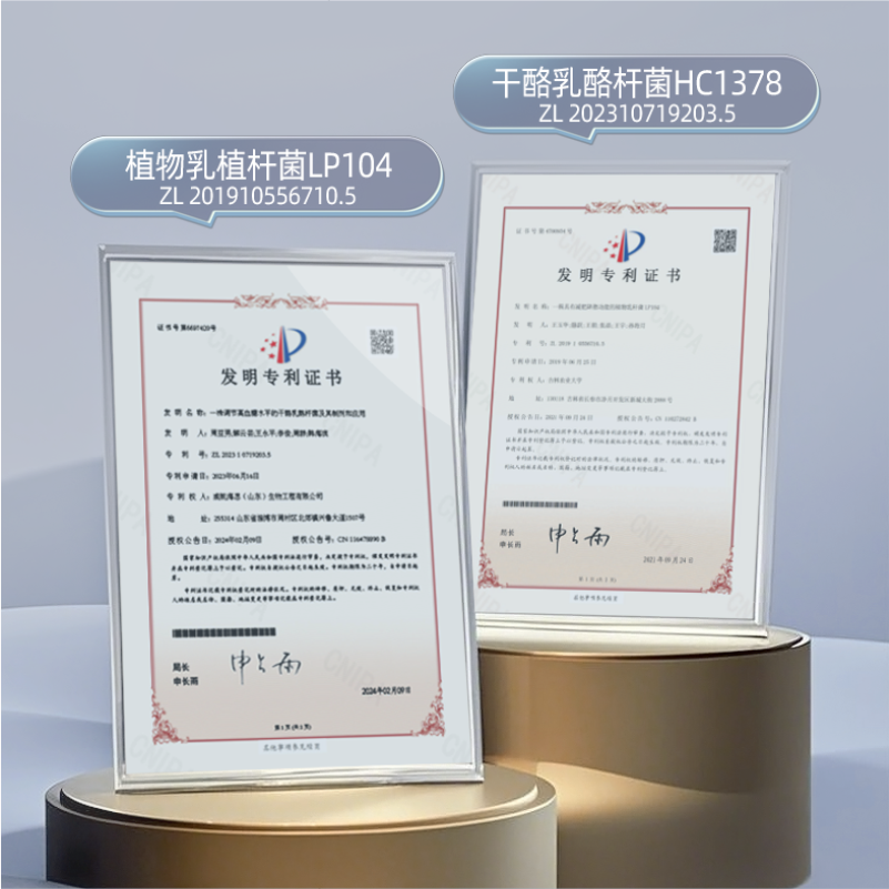 黄金搭档益生菌冻干粉提高代谢阻断糖油科学配比肠道呵护|30000亿瘦子菌30条装