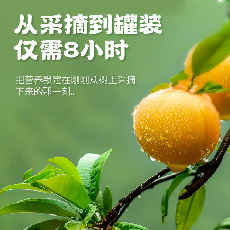 绿山果园 梨汁黄桃罐头原汁原味清爽不腻 配料干净零添加剂|梨汁+桃果汁代替白糖 营养健康无负担360克x4罐