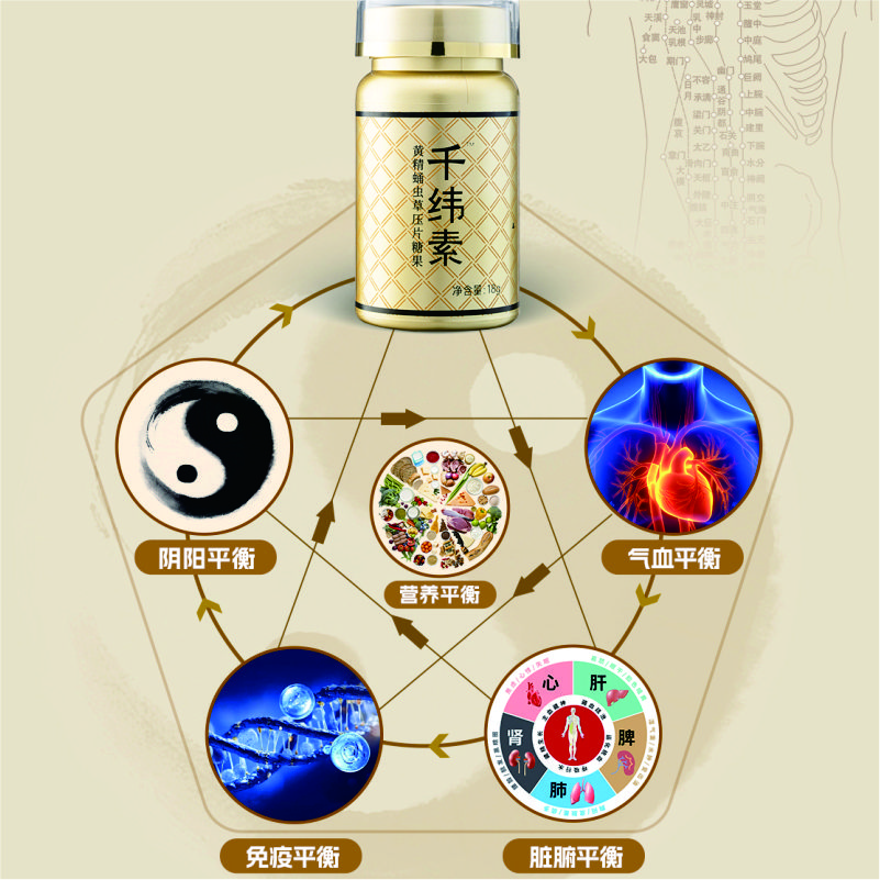 新品千纬素黄精蛹虫草片|天然草本根源内养有序代谢均衡营养 科学配比|通+调+补+养 4重发力18克/瓶/36片