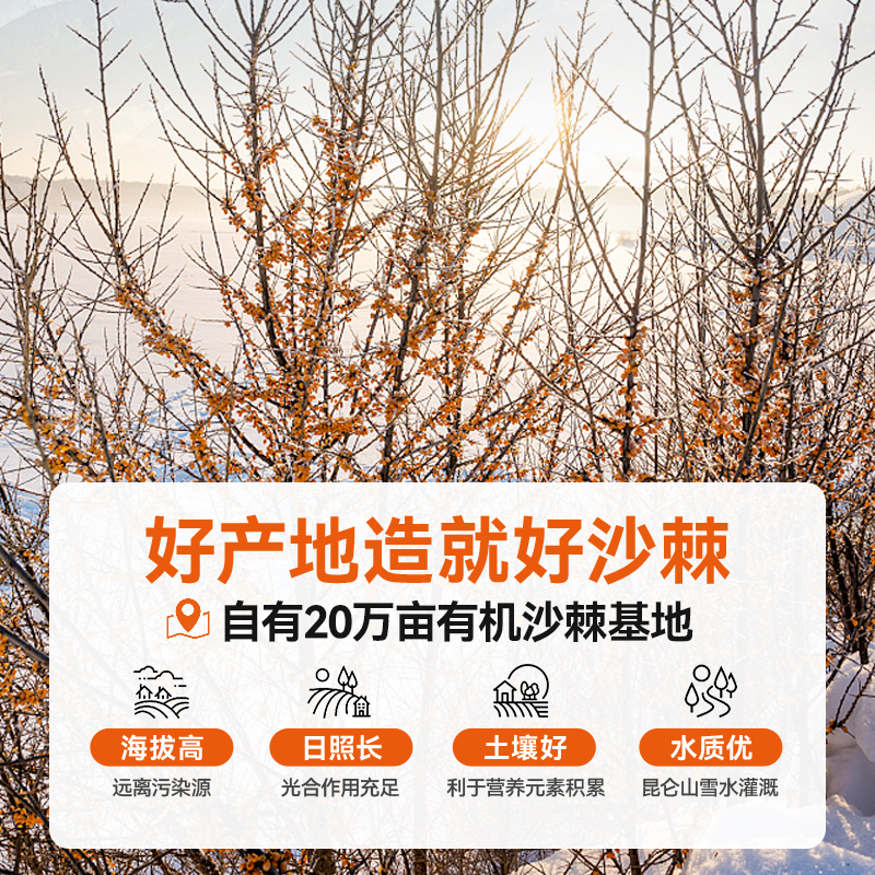 呀啦嗦有机沙棘原浆|低温破壁鲜果萃取拒绝添加滴滴天然维c满满|一物一码可溯源300ml/十袋