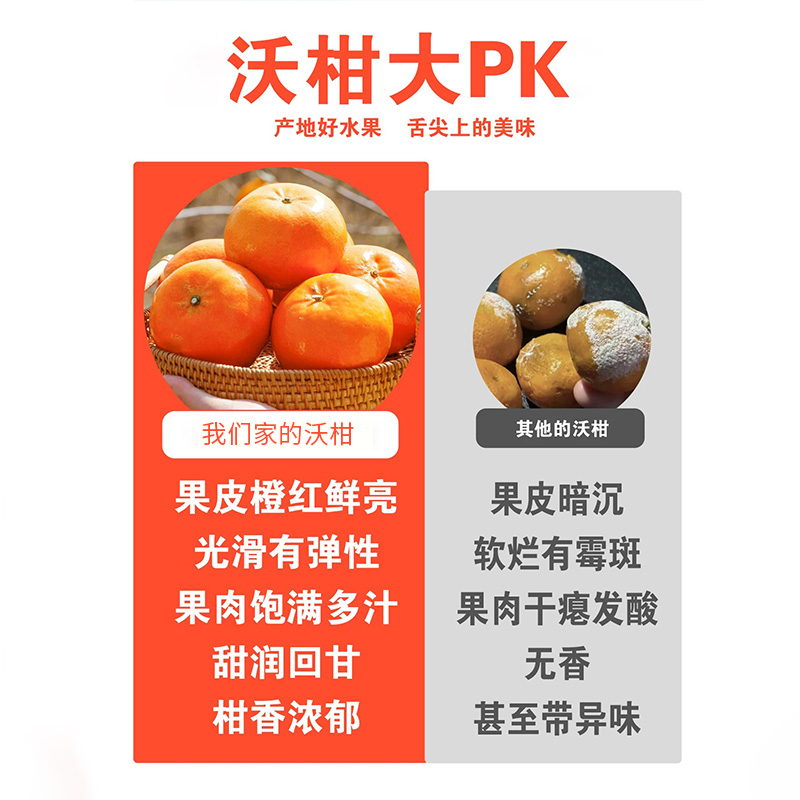 南宁沃柑|天然维C汁水丰富鲜果下树产地直采商超品质果肉浓郁营养丰富|单果160克+净重5斤装