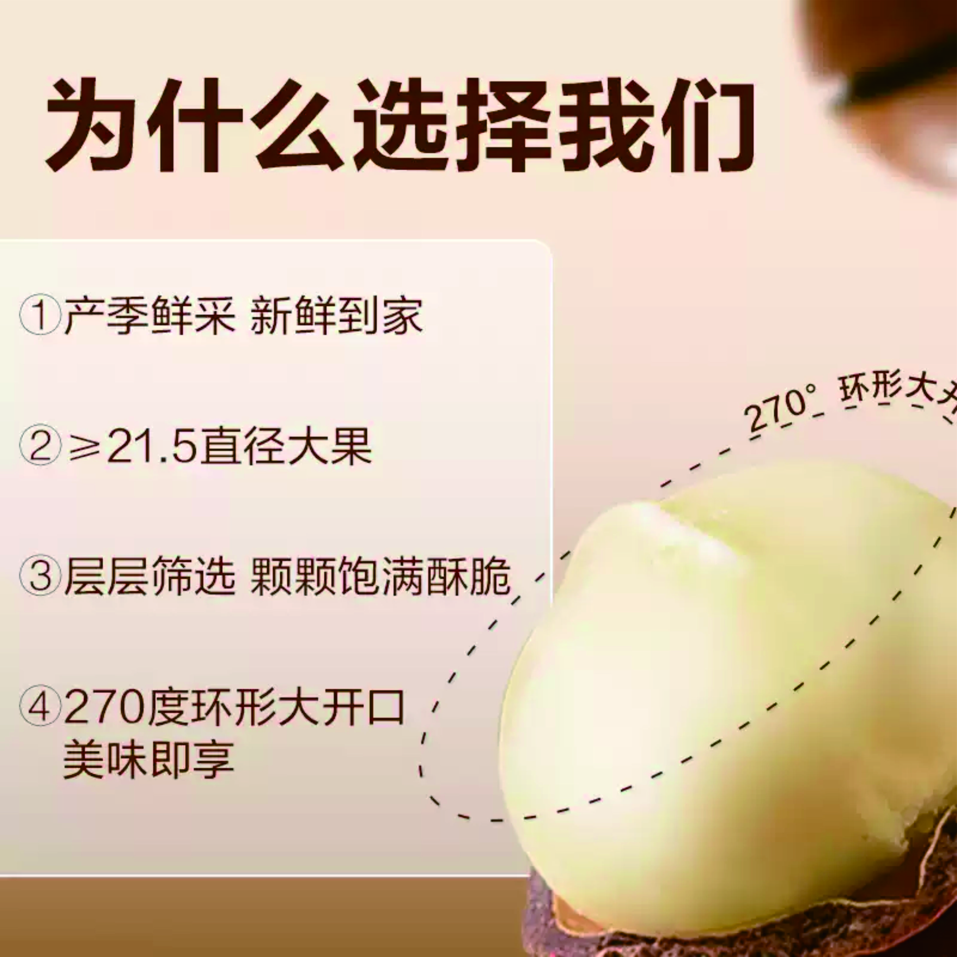 夏威夷果|新鲜原果低温烘焙奶香浓郁果仁饱满层层筛选|22-25mm大果500克/袋