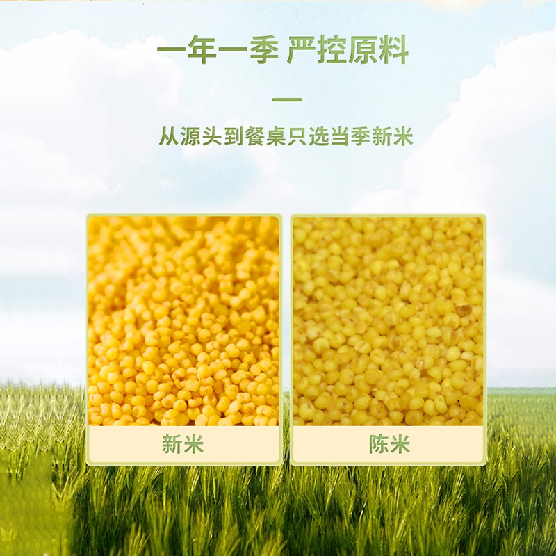 有机黄小米|产地直供当季新粮米油醇厚香浓软糯营养丰富|密封包装 好收纳2.5gk/袋