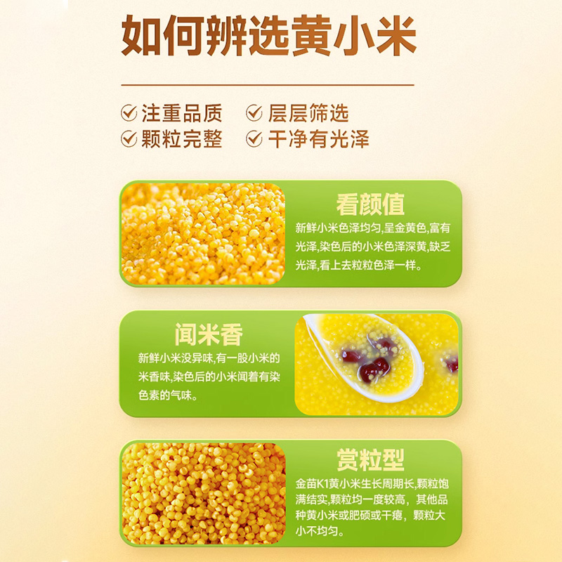 有机黄小米|产地直供当季新粮米油醇厚香浓软糯营养丰富|密封包装 好收纳2.5gk/袋
