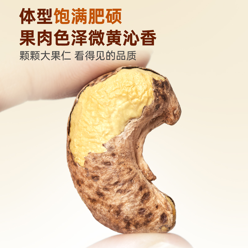 特大级紫皮腰果|营养丰富酥脆清香颗颗饱满配料干净送礼待客|净含量500克/罐