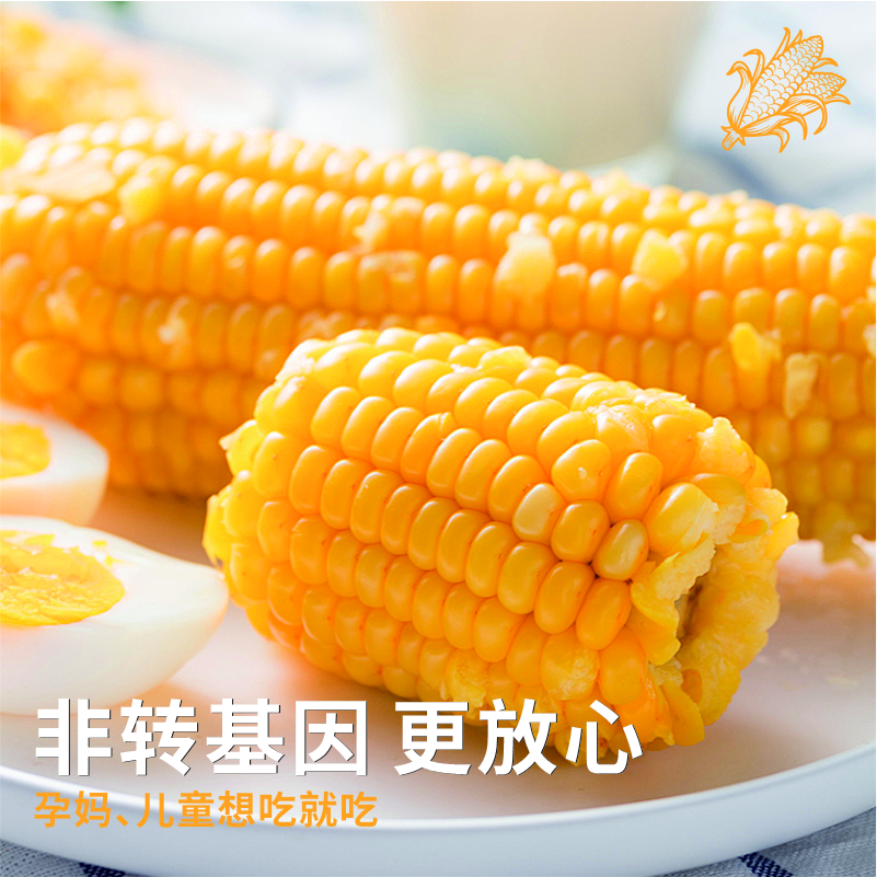 内蒙古甜糯玉米|膳食粗粮低脂饱腹有机种植真空保鲜ㄧ高叶酸十根装