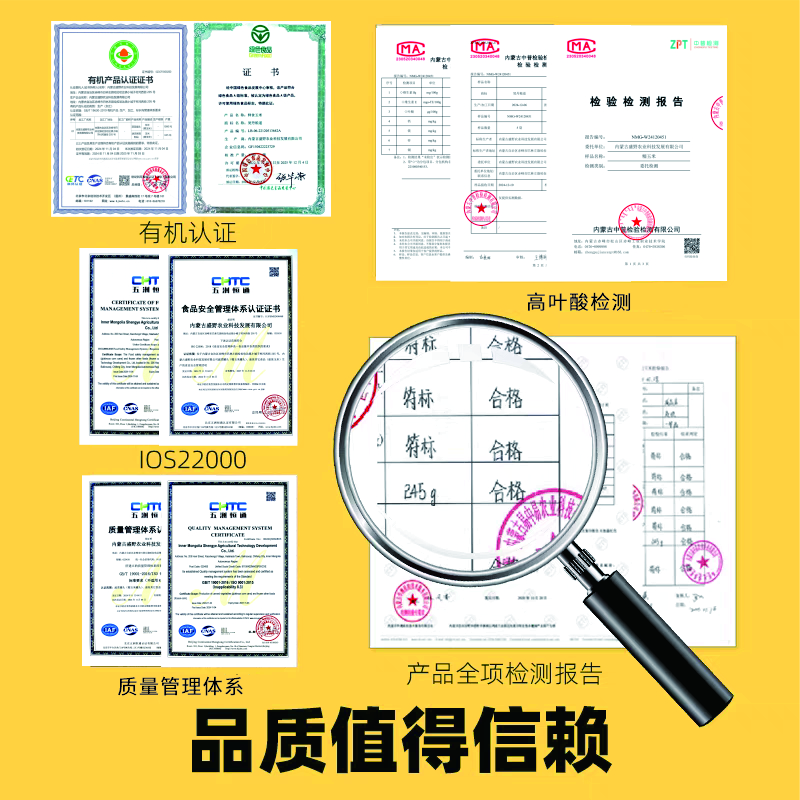 内蒙古甜糯玉米|膳食粗粮低脂饱腹有机种植真空保鲜ㄧ高叶酸十根装