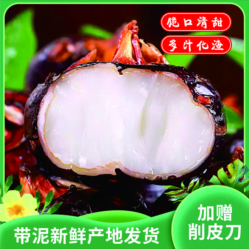 荔浦水果马蹄|清甜脆口多汁无渣削皮即食新鲜直供新品|南方美食可当水果可当菜带泥净重5.2斤