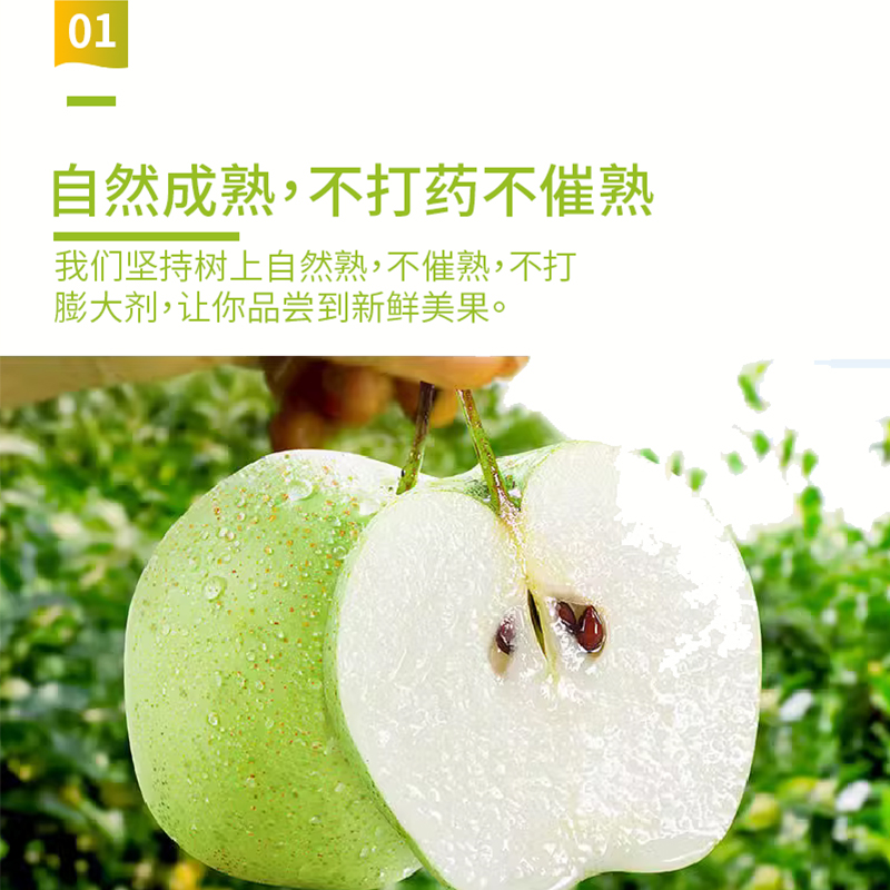 砀山青皮梨|清润爽口皮薄肉厚甘甜多汁细腻无渣自然成熟|净含4.5斤装单250克+